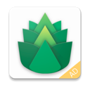 绿叶,Green 绿叶,Green