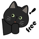 黑猫,Heimao 黑猫,Heimao